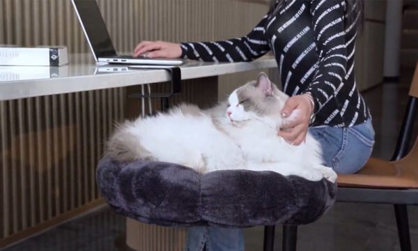 DeskPurrch - The Cozy Under-Desk Cat Bed