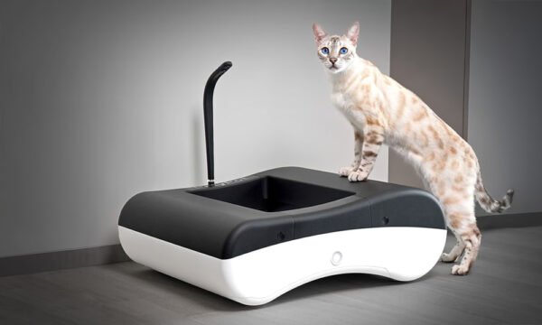 PetyPot - AI-Powered Litter-Free Self-Cleaning Cat Toilet