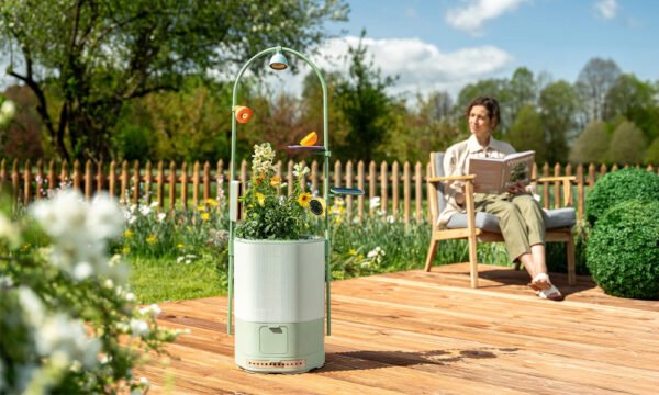 Petal & Wonder Blocks - Your Smart Nature Observatory