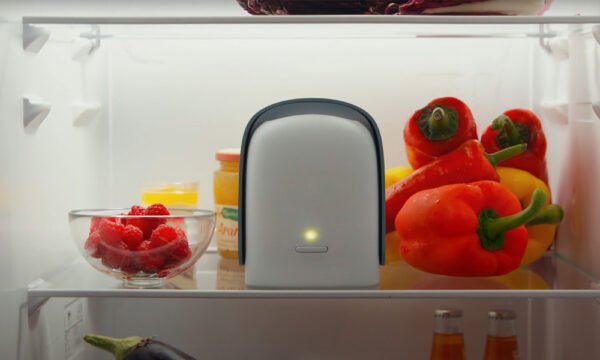 Shelfy Lite - Endgame for Food Waste