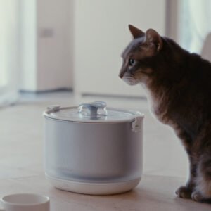 YeaPaw Fountain - Cordless ‘Pumpless’ Better Filtration