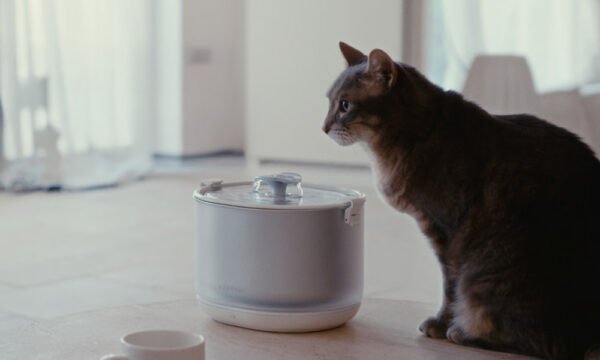 YeaPaw Fountain - Cordless ‘Pumpless’ Better Filtration