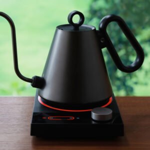 Palatti Enso Gooseneck Electric Kettle
