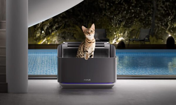 Popur S7 Split Litter System - Born for Cat, Built for Life