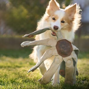 Frank the Dogtopus - The Dog Toy That Outsmarts Boredom