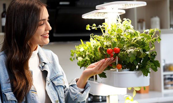 Indoor Hydroponic Tower – Grow 48 Plants at Once