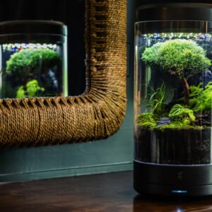 Ark Smart Planter - Your personal automated desktop oasis