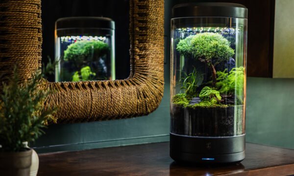 Ark Smart Planter - Your personal automated desktop oasis