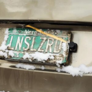 Lens Lizard - A remote controlled backup camera cleaner