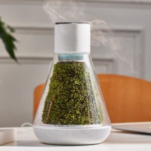 Oasis Planter - Self-Sustaining Moss Air System