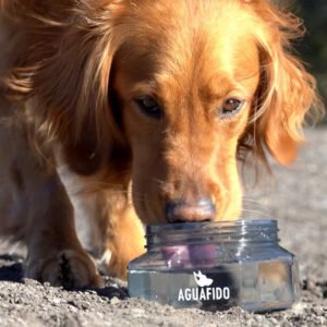 AguaFido - The Go-Anywhere Dog Bowl You Can Actually Seal