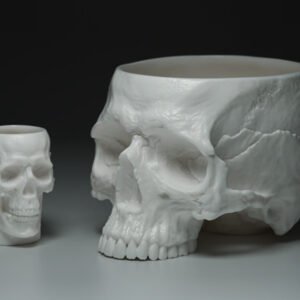 Memento Mori - A Transcendent Porcelain Skull Bowl