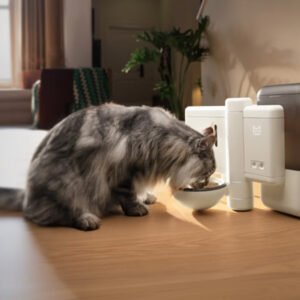Neakasa Riko Fresh-Made Wet Meal Feeder