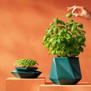 HELIX ~ The Self-Watering Pot