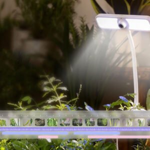 FernSnap AI Plant Time-Lapse Camera