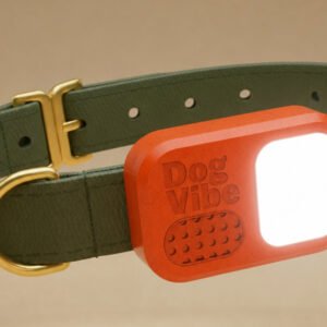 DogVibe - The Smart Dog Training Collar for Off-Leash Freedom